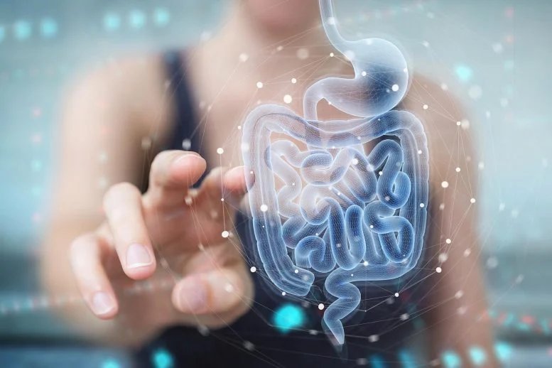 A Tiny Gut Molecule Could Transform Diabetes Treatment Woman Intestines Holographic Scan Digestive System