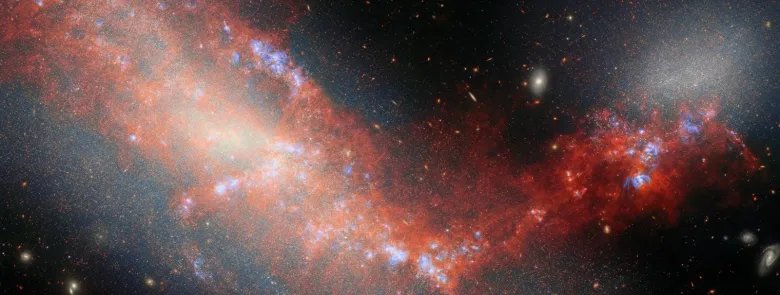 This Webb image shows two interacting galaxies NGC 4490 occupies the left side of the image while NGC 4485 appears as a white glowing hue in the top right of the field Both galaxies are connected by a bright stream of red stretching from the top left of the image through the bottom centre and ending at the right under galaxy NGC 4485 There are regions of bright blue ionised gas visible in concentrated areas of the red stream The background is black with multiple galaxies in various shapes throughout